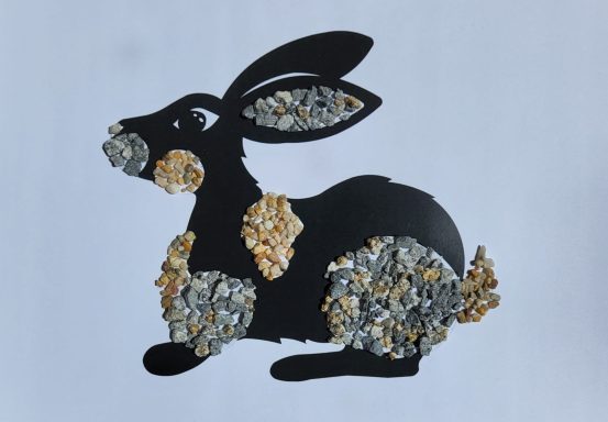 Hase